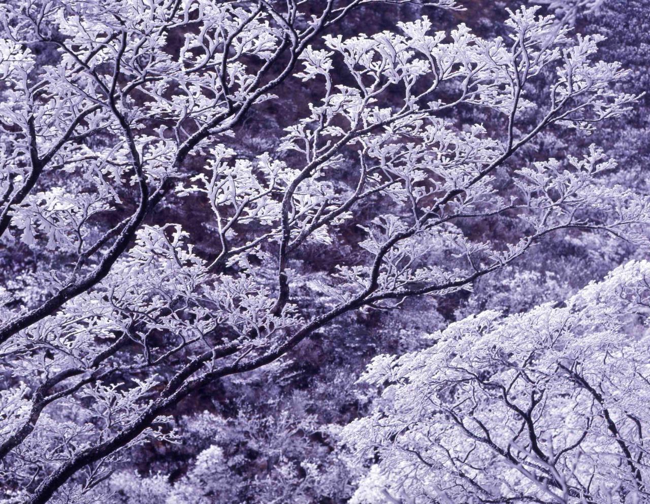 Unzen Sky Hotel Eksteriør bilde